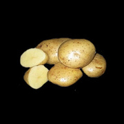 Качественный элитный семенной картофель